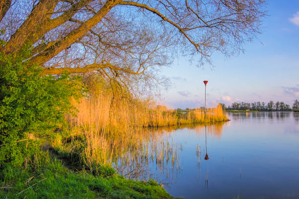 Nature view at the river IJssel in the IJsseldelta region in Overijssel, The Netherlands. It's the end of the day during a beautiful day in early spring.