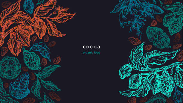 roślina kakaowe wektor graficzne tło masło aromatyczne - chocolate cocoa hot chocolate backgrounds stock illustrations