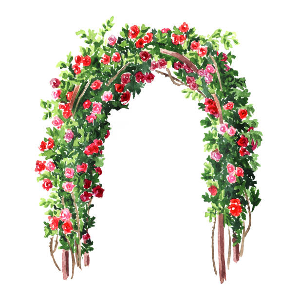 Arched Roses Drawing 570+ Rose Archway Stock Illustrations, Royalty-Free Vector Graphics ...