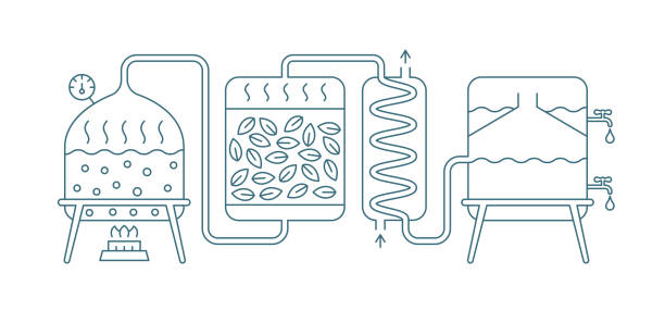 Essential oil making. Distillations aromatic oils production. Distillation process. Perfumery substances. Distiller equipment. Vector infographic. Blue line contour. Essential oil making. Distillations aromatic oils production. Distillation process. Perfumery substances. Distiller equipment. Vector infographic circuit schema. Blue line contour. distillation stock illustrations