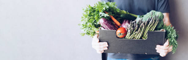 istock Fresh organic greens and vegetables delivery 1304871811