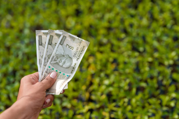 young indian farmer counting and showing money at greenhouse or poly house young indian farmer counting and showing money at greenhouse or poly house rupee coin stock pictures, royalty-free photos & images