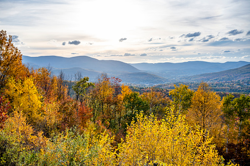 A mesmerizing colorful atmospheric landscape with an autumn maple grove in yellow and red tones and a panorama of a valley with a provincial town at the foot of the hills in Vermont, New England