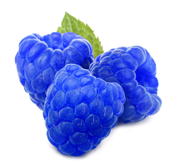 istock Fresh tasty blue raspberries on white background 1304876330