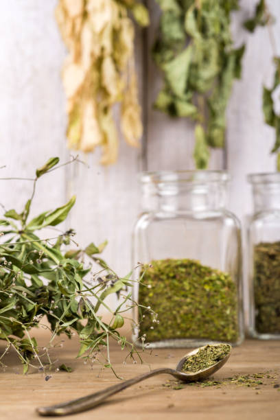 istock Herbal tea and dried herbs or medicine in jars with spoon 1304877348
