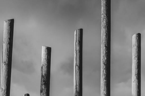 Abstract black and white wooden pillars in sunshine against cloudy sky