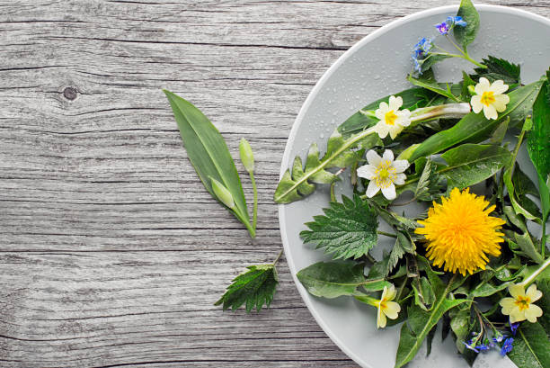 Healthy spring food ingredients. Dandelion, wild garlic and nettle in plate