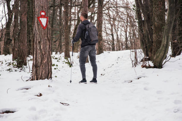 istock Man hiking through the wood 1304880501