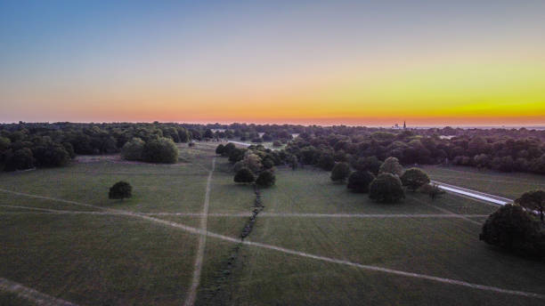 Richmond Park at Sunset Richmond park at sunset richmond park stock pictures, royalty-free photos & images