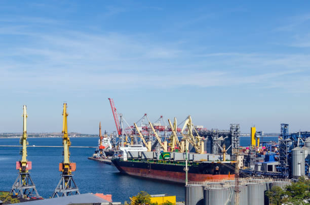 istock Port cargo crane loads a container onto a cargo ship in a seaport 1304881913