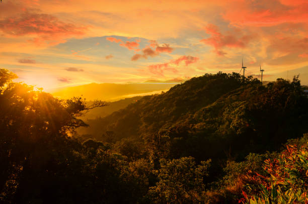 Wind turbines in the early morning surrounded by fog.  Image taken in Costa Rica.