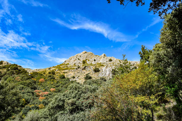 istock Mountainous landscape of Las Mimbres de Granada 1304883433