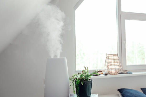 가습기는 물을 증기로 끓여 공기에 물을 추가합니다. 코막이를 완화하는 데 도움이 될 수 있는 건조한 공기, 건강한 가정 환경을 줄입니다. 건강 상의 이점. 화이트 밝은 홈 장식. - humidifier steam home interior appliance 뉴스 사진 이미지