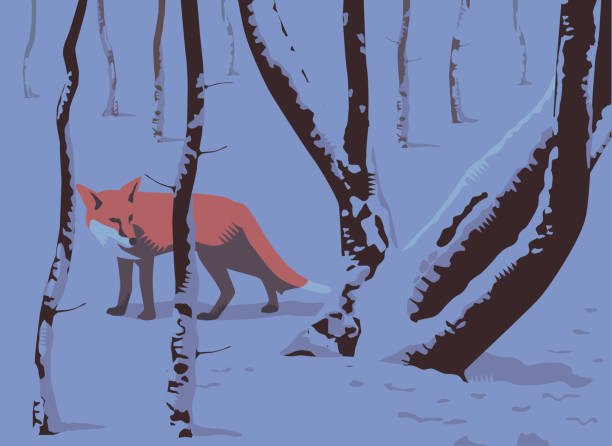 bildbanksillustrationer, clip art samt tecknat material och ikoner med vinter landsbygd scen med fox - red fox snow