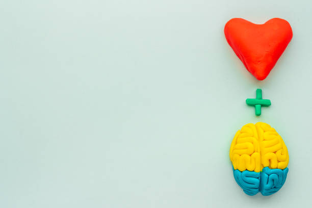 istock Emotional intelligence concept with brain and heart, top view 1304891885