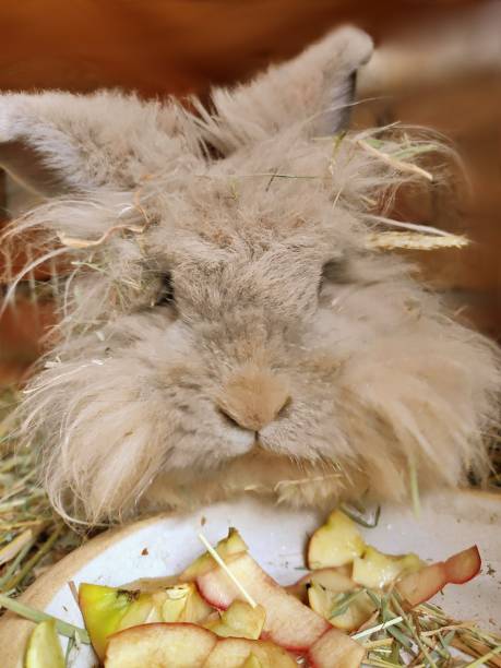 istock Portrait of a cute little easter bunny 1304892029