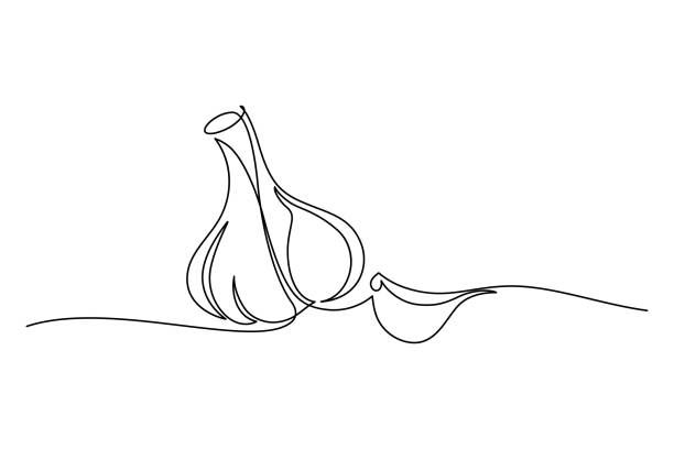 Garlic Garlic in continuous line art drawing style. Garlic bulb with separated clove minimalist black linear sketch isolated on white background. Vector illustration garlic bulb stock illustrations