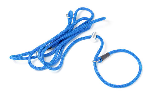 Rope leash with loop and restraint for dog training Leash controller with loop noose and limiter. An effective remedy for raising dogs for obedience and endurance lace fastener photos stock pictures, royalty-free photos & images