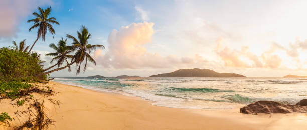 Surf lapping onto idyllic palm tree beach tropical island panorama Big tropical clouds over the deserted palm-fringed sandy shore of a remote island beach overlooking the turquoise waters of an idyllic ocean lagoon. desert island stock pictures, royalty-free photos & images