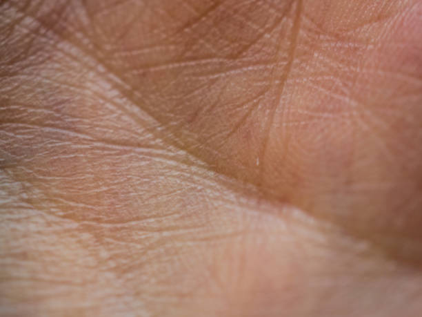 istock Texture of a hand, palmistry concept 1304902781