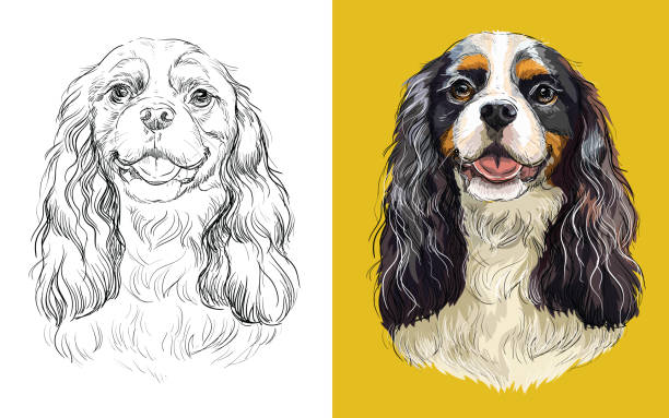 illustrations, cliparts, dessins animés et icônes de verticale d’illustration de vecteur du crabot drôle mignon cavalier roi charles spaniel - dog wallpaper humor retro revival