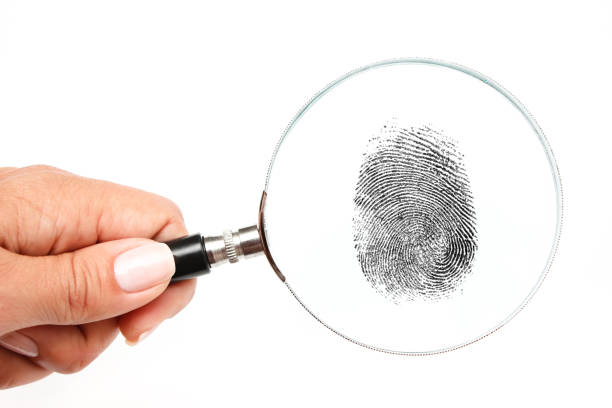 istock Magnifying glass in hand and fingerprint isolated on white background 1304906961