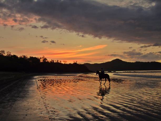 istock Horsebackriding on a sunset 1304907546