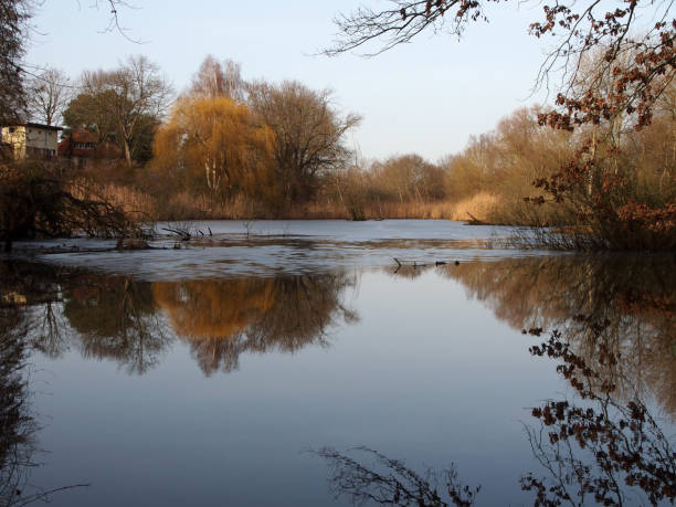 istock Lake in the evening with refelction 1304907629