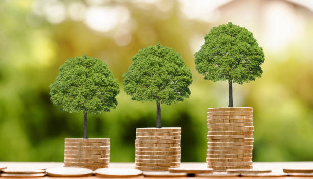 istock Coin on table background and business growth success concept 1304908005