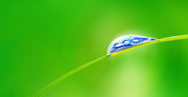 istock Earth reflextion in Water Drop on Green Grass 1304908213