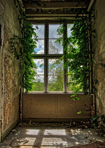 istock room of a ruin 1304909263
