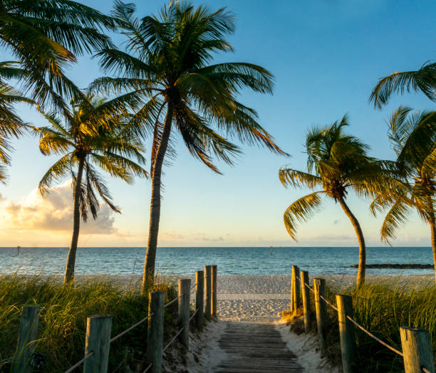 istock Sunrise in Key West in 2021 1304910849
