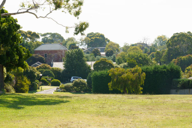 istock gardens in Mount Martha, Australia 1304914938
