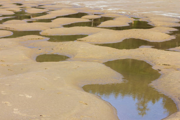 istock Interesting pools in the sand created by moving water 1304918545