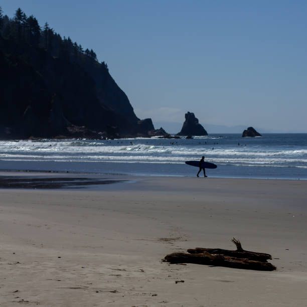 Oswald State Park on the Oregon coast