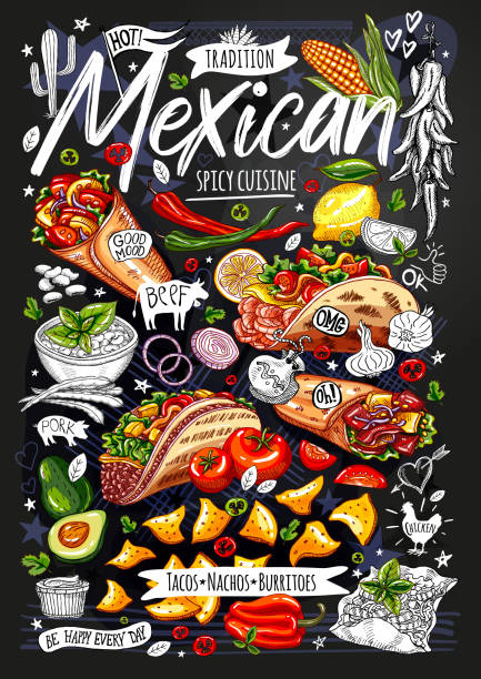 ilustraciones, imágenes clip art, dibujos animados e iconos de stock de cartel de comida, anuncio, comida rápida, menú, restaurante, cocina mexicana, nachos, burritos, tacos, snack. aguacate, queso, frijol, maíz, pollo. estilo de dibujos animados delicioso aislado. vector dibujado a mano - guacamole mexican cuisine avocado food