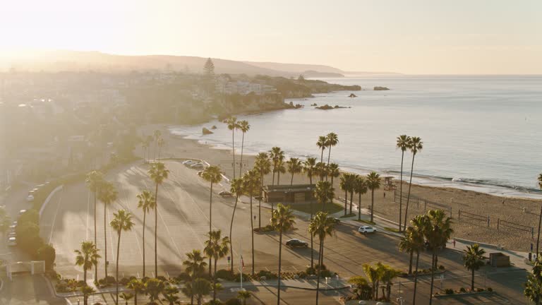 Palm Tree-Lined Lot and Pacific Coast Beach - Aerial