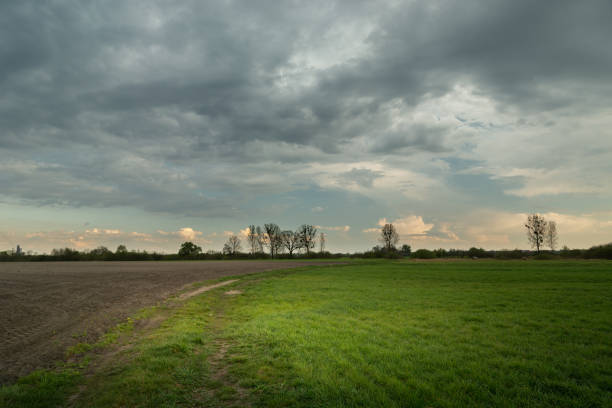 istock Green meadow and dark clouds on the sky 1304922672
