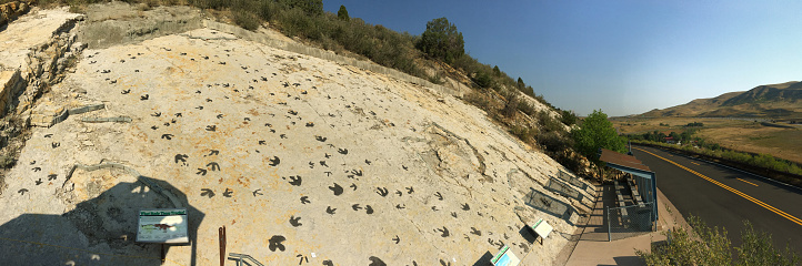 Morrison, Colorado, U.S.A. - August 17, 2020 - Over 300 dinosaur tracks of Ornithopod (Iguanadon), theropod and ceolursaur tracks have been identified at Dinosaur Ridge. Once an ancient seashore, now near the town of Morrison along the front range of the Rocky Mountains sits the trackways of Jurassic (135-180 million years ago) dinosaur footprints of Dinosaur Ridge. Just west of downtown Denver, Colorado.