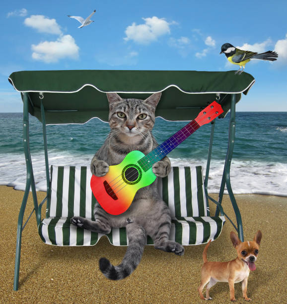 istock Cat gray plays color guitar on beach 1304925970