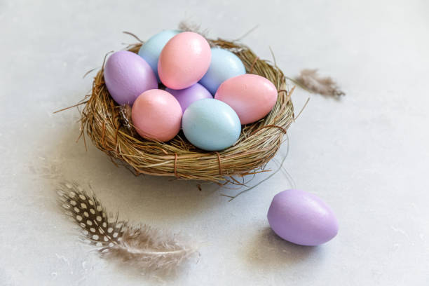istock Happy Easter concept. Preparation for holiday. Colorful decorated easter eggs in nest with feather on concrete stone grey background. Simple minimalism flat lay top view copy space 1304927292