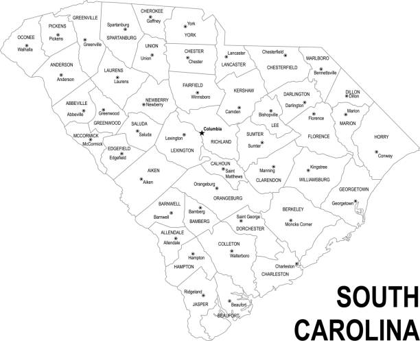 ilustrações, clipart, desenhos animados e ícones de mapa de contorno da carolina do sul - south carolina map cartography outline