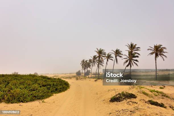 Lake Retba Dirt Lakeshore Road Stock Photo - Download Image Now - Dakar, Overcast, Senegal