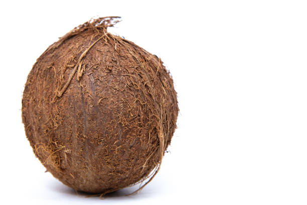 istock Ripe coconut on a white isolated background. Coconut on a white background. 1304931893
