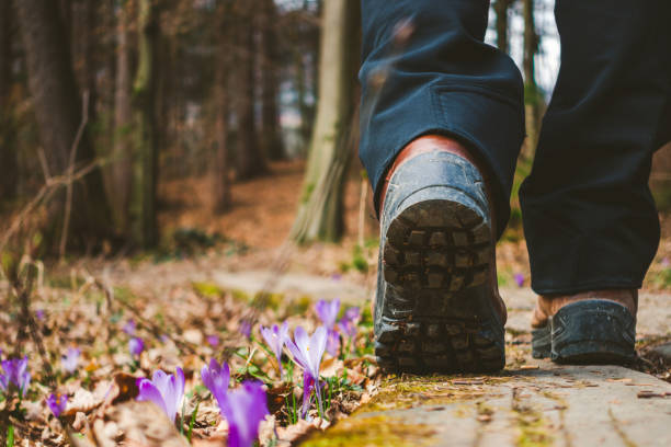 istock Woman walking in Saffron forest 1304931960