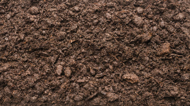 istock Black land for plant background. 1304932720