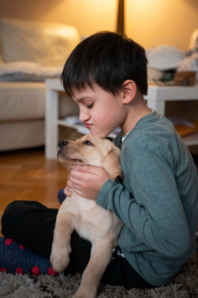 istock Cute boy playing with puppy at home 1304935236