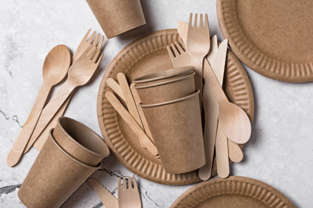 istock Craft disposable take-out cup, plate, and wooden fork, spoon, knife for picnic 1304935585
