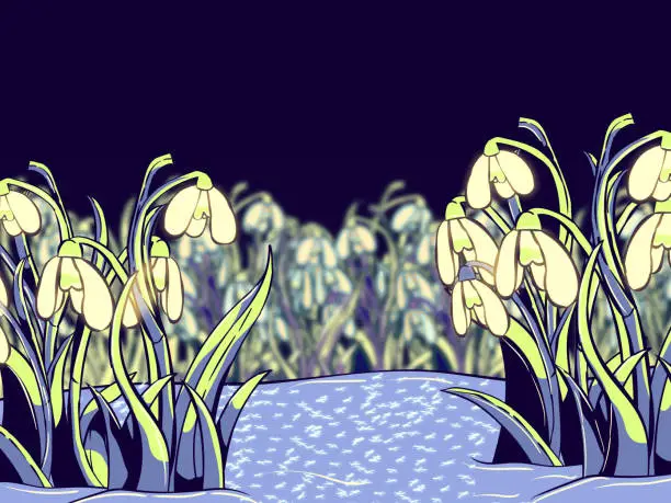 Vector illustration of Hand-drawn banner illustration - Snowdrops in night.