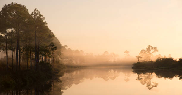 istock Calm morning by the river 1304936438